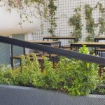 Omega House spatiu de co living co working cu cafenea 33