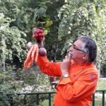 Sarbatoarea Gustului Alain Alexanian