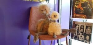 Verso Carturesti in Agora Floreasca 15