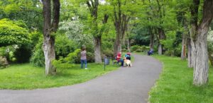 Casa Alba restaurant romanesc in Padurea Baneasa 06