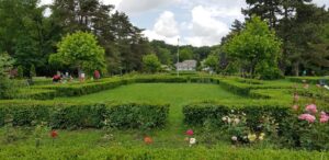 Casa Alba restaurant romanesc in Padurea Baneasa 07