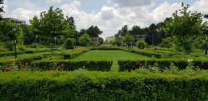 Casa Alba restaurant romanesc in Padurea Baneasa 08