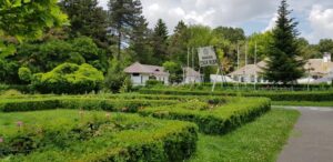 Casa Alba restaurant romanesc in Padurea Baneasa 09