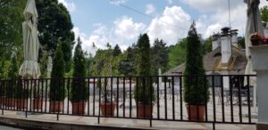 Casa Alba restaurant romanesc in Padurea Baneasa 15