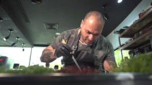 Catalin Petrescu Chef Argentine 05 1