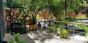 Food Circus restaurant fast food cu autoservire in Pipera 05