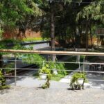 Food Circus restaurant fast food cu autoservire in Pipera 06