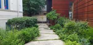 Le Bistrot Social la L'Institut Francais