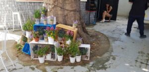 Le Bistrot Social la L'Institut Francais