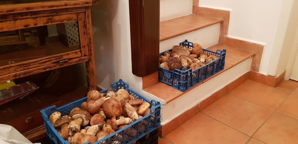 Trufele de la La Bottega del Tartufo 