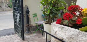 Pasterra pasta bar si bacania La Bottega del Tartufo 27