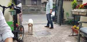 Pasterra pasta bar si bacania La Bottega del Tartufo 32