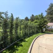 Restaurant Casa Alba (Baneasa) - Restocracy