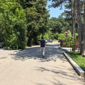 Restaurant Casa Alba (Baneasa) - Restocracy