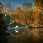 Photo credit Sorin Onisor