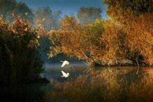 Photo credit Sorin Onisor