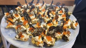 SushiRoom, restaurant de sushi, deschidere in noua locatie din Piata Dorobatilor