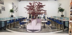 Braseria Dragomir Niculescu, Delicatese Comestibile