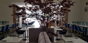 Braseria Dragomir Niculescu, Delicatese Comestibile