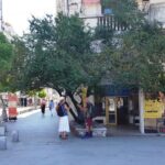 Calea Victoriei la Biserica Kretzulescu