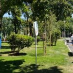 Parcul Cinematograf Floreasca