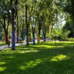 Parcul Cinematograf Floreasca