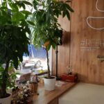 Refresh Social Bar, Parcul Cinematograf Floreasca