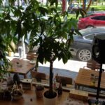 Refresh Social Bar, Parcul Cinematograf Floreasca