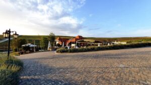 Casa Timis, conac si restaurant in Bucov (Prahova)