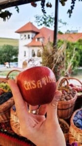 Casa Timis, conac si restaurant in Bucov (Prahova)