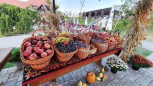 Casa Timis, conac si restaurant in Bucov (Prahova)