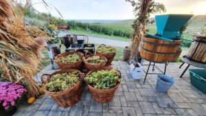 Casa Timis, conac si restaurant in Bucov (Prahova)