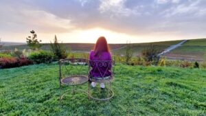 Casa Timis, conac si restaurant in Bucov (Prahova)