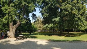 Parcul Conacului Hagianoff de pe Domeniul Manasia