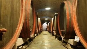 Crama Manasia, Conacul Hagianoff