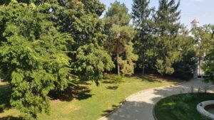 Parcul Conacului Hagianoff de pe Domeniul Manasia