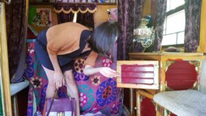 Caleasca nomada din Parcul Conacului Hagianoff de pe Domeniul Manasia