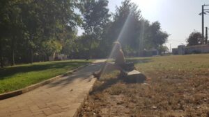 Parcul Conacului Hagianoff de pe Domeniul Manasia