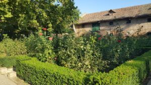 Parcul Conacului Hagianoff de pe Domeniul Manasia