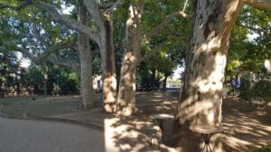 Parcul Conacului Hagianoff de pe Domeniul Manasia