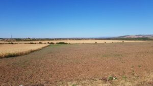 Dealurile din Bucov in jurul conacului Casa Timis