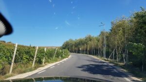 Dealurile din Bucov in jurul conacului Casa Timis