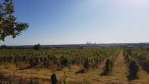 Dealurile din Bucov in jurul conacului Casa Timis