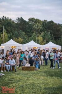 Festivalul Vinului Moldovei 2019 - Photo www.themoment.ro [Dan Alexandru]