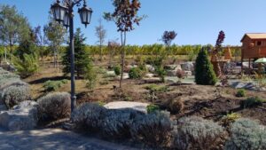 Locul de joaca din parcul conacului Casa Timis din Bucov