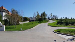 Parcul conacului Casa Timis din Bucov