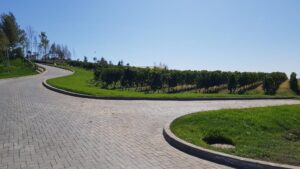 Parcul conacului Casa Timis din Bucov