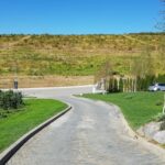 Parcul conacului Casa Timis din Bucov