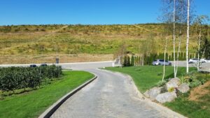 Parcul conacului Casa Timis din Bucov