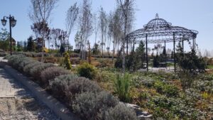 Parcul conacului Casa Timis din Bucov